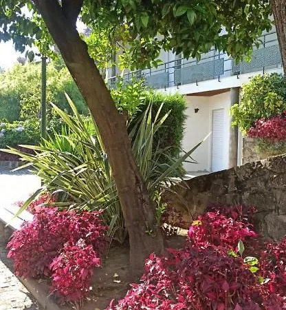 Pensao Continental Machado Guest house Caldelas